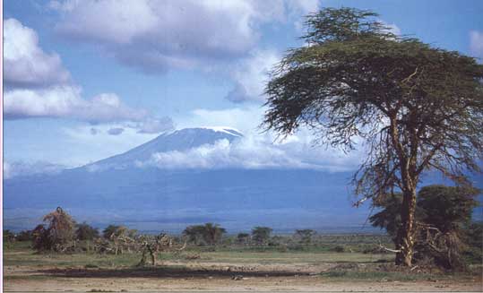 Kilimanjaro seen from Arusha
